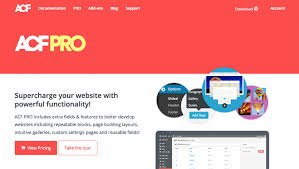 Advanced Custom Fields Pro v6.3.11 + 7 Addons WP Plugin Nulled
