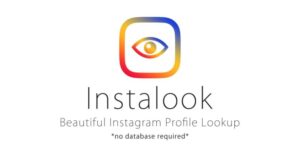 InstaLook v1.0 – Instagram Profile Lookup Script