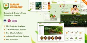 Namm v1.0.6 – Grocery Shop WordPress Theme