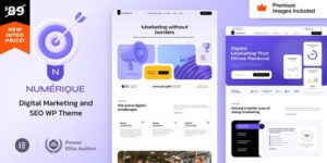 Numérique v5.2 – SEO Digital Marketing WordPress Nulled