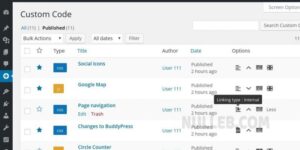 Simple Custom CSS and JS PRO v4.39 - WP Plugin Nulled