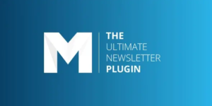 Mailster v4.1.6 - Email Newsletter Plugin for WordPress