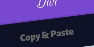 Divi Copy and Paste v1.2 - WordPress Plugin Download