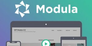 Modula Pro v2.8.7 – No. 1 Gallery WordPress Plugin + Addons Nulled