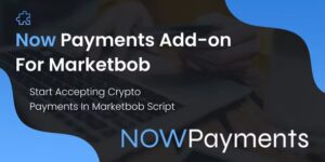 NOWPayments Gateway v1.2 - Marketbob Addons