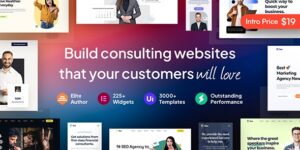 Rise v4.0.4 – Business & Consulting WordPress Theme Nulled