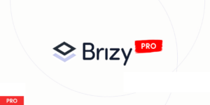 Brizy Pro v2.6.3 - WordPress page builder Plugin Nulled