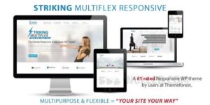 Striking v2.4.2 – MultiFlex & Ecommerce Responsive WP Theme