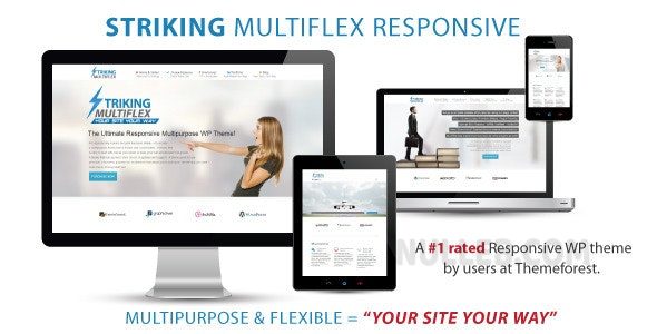 Striking v2.4.2 – MultiFlex & Ecommerce Responsive WP Theme