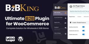 B2BKing v5.3.10 – The Ultimate WooCommerce B2B & Wholesale Plugin
