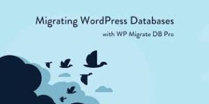 WP Migrate DB Pro Pack v2.7.3 - WordPress Plugin Download