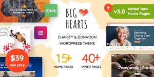 BigHearts v3.1.3 – Charity & Donation WordPress Theme Nulled