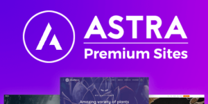 Astra Pro v4.8.11 + Astra Premium Starter Templates v4.4.17 Nulled