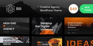 Bili v1.1.13 – Creative Agency WordPress Theme Nulled