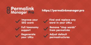 Permalink Manager Pro v2.5.3.1 - WordPress Plugin Download