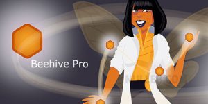 Beehive Pro v3.4.15 – WordPress Plugin Download