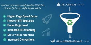 Asset CleanUp Pro v1.2.6.1 – Performance WordPress Plugin Nulled