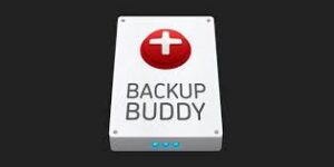 BackupBuddy v9.1.18 - Back up, restore and move WordPress Plugin