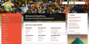 TownPress v3.8.13 – Municipality & Town Government WordPress Theme