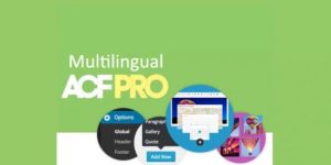 Advanced Custom Fields Multilingual v2.2.0 - WordPress Plugin