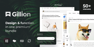Gillion v4.14.1 - Multi-Concept Blog/Magazine & Shop WordPress Theme