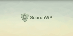 SearchWP v4.5.8 - WordPress search plugin
