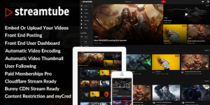 StreamTube v4.16 - Video WordPress Theme