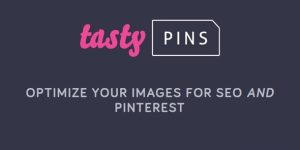 Tasty Pins v2.4.1 - Optimize your images for SEO and Pinterest