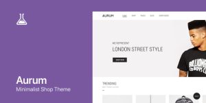 Aurum v4.0.12 - WordPress & WooCommerce Shopping Theme